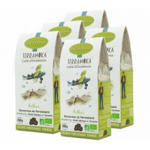 1kg Café en grains Bio Arthur Arabica/robusta - TERRAMOKA - Café Bio