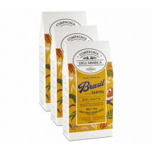 Caffè Corsini - 3 x 250 g - Café moulu - Brésil Santos - CORSINI - Brésil