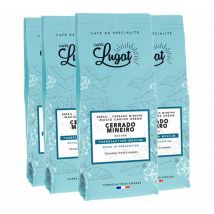 4x250 g - Café en grain Brésil Cerrado Mineiro - Cafés Lugat - Café de spécialité/Specialty coffee