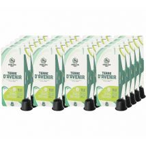 Green Lion Coffee - 200 capsules compatibles Nespresso Terre d'avenir pour professionnels Bio - GREEN LION COFFEE - Pérou
