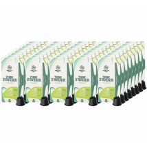 Green Lion Coffee - 400 capsules compatibles Nespresso Terre d'avenir pour professionnels - GREEN LION COFFEE
