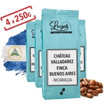 Coffee beans: Nicaragua - Château Valladarez (Finca Buenos Aires) - 1kg - Cafés Lugat - Nicaragua