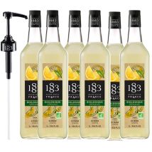 Lot De 6 Sirops Bio Citron - Bouteille Verre 6x1l Pour Professionnel + Pompe Doseuse 1883 Routin