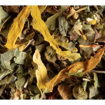 Dammann Frères Herbal Tea Tisane Fruits Exotiques - 100g - Flavoured Teas/Infusions