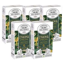 Caffè Corsini - 50 Nespresso* Original Compatible Capsules Harenna Wild Forest Ethiopia – CORSINI - Ethiopia