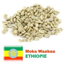 Café Compagnie - Moka Harrar environmentally friendly coffee - Anfilloo local - Ethiopia - Micro-Lot - 1kg