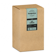 50 Dosettes Ese Special Espresso Pour Professionnels - Les Petits Torrefacteurs
