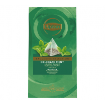Lipton Exclusive Selection Delicate Mint Infusion - 25 tea bags - Indonesia