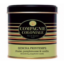 Compagnie & Co - Boite Luxe Thé Vert Sencha Printemps - Vrac 100 g - COMPAGNIE & CO - Chine