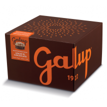 Galup Panettone with Chocolate Chips - 1kg