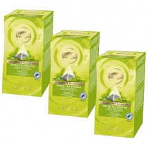 Lipton Sencha Green Tea Value Pack - 3 x 25 Tea Bags - Japan