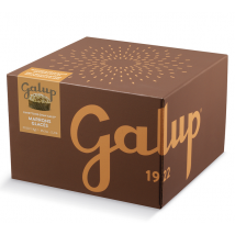 Galup Panettone with Marrons Glacés (Glazed Chesnuts) - 1kg