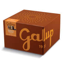 Galup Panettone with Streglio Gianduja Cream Filling - 1kg