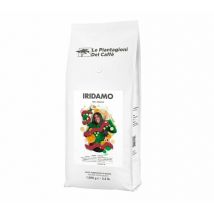Le Piantagioni Del Caffè Iridamo Coffee Beans 100% arabica - 1kg - Brazil