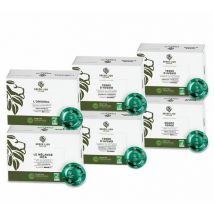 Green Lion Coffee Nespresso Professional Compatible Capsules Value Pack x 300
