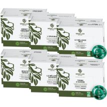 Green Lion Coffee - Pack Découverte Bio 600 capsules compatibles Nespresso* Pro – GREEN LION COFFEE