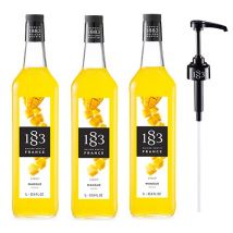 Sirop Mangue Pour Professionnel- Bouteille Plastique - 3 X 1l + Pompe Doseuse 1883 Routin