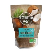 Organic Coconut Sugar From Indonesia - 500g - Destination