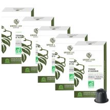 Green Lion Coffee Nespresso compatible pods Terre d'avenir x 50