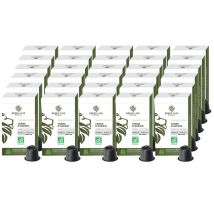 Green Lion Coffee - 300 capsules compatibles Nespresso Terre d'avenir pour professionnels - GREEN LION COFFEE