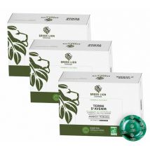 Green Lion Coffee - 150 dosettes compatibles Nespresso pro Terre d'avenir Commerce Equitable Office Pads Bio - GREEN LION COFFEE