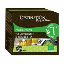 Destination organic mint green tea - 20 sachets - China