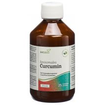 sanasis Curcumin liposomal (250 ml)