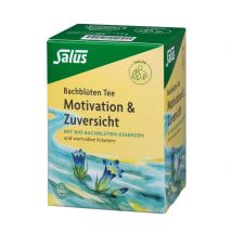 Salus Bachblüten Tee Motivation & Zuversicht Bio (15 Stück)