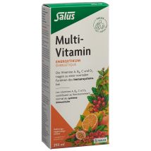 Salus Multi-Vitamin Energetikum (250 ml)