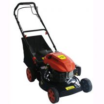 Tosaerba A Benzina Green Cat Silvestro Tr Potenza Hp 4,5/4t Taglio Max.Diam.46cm