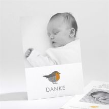 Dankeskarte Geburt Rotkehlchen mit Vergoldung personalisierbar - Farbe Gelb/Orange, Weiß Und Grau/Gold - 9.5 x 13.8 cm - MeineKarten