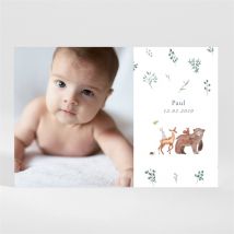 Geburtskarte Waldtierchen - Magnet personalisierbar - Farbe Grün Und Orange Und Beige, Braun Und Weiß - 13.8 x 9.5 cm - MeineKarten