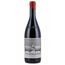 4kilos Vinícola 4kilos 2023