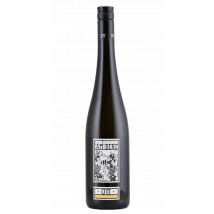 Bernhard Ott Grüner Veltliner am Berg 2025