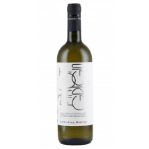 Colli Morenici Garda Pinot Grigio 2024 | Lombardei – Italien | 1 x 0,75 Liter