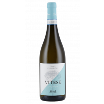 Colomba Bianca Vitese Grillo Bio 2024