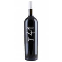 Magnum (1,5 L) Clos L'Asentiu Tina 41 (T41) 2023
