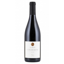 Patrick Lesec Côtes du  Richette 2020 | Rotwein | Frankreich | 1 x 0,75 Liter