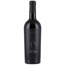 Pendio Antico Salice Salentino 2024 | Rotwein | Italien | 1 x 0,75 Liter