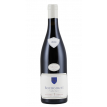 Pierre Naigeon Bourgogne Vielles Vignes 2018 | Rotwein | 1 x 0,75 Liter