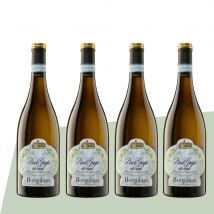 Pinot Grigio Probierpaket