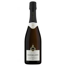 Sekthaus Raumland Blanc de Blancs Réserve Extra Brut 2015 | 1 x 0,75 Liter