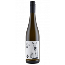 Street Cat Silvaner 2024