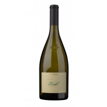 Terlan Sauvignon Blanc Winkl 2025 | Italien | 1 x 0,75 Liter
