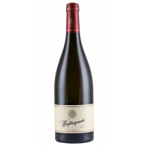 Van Volxem Weißburgunder 2024 | Mosel – Deutschland | 1 x 0,75 Liter