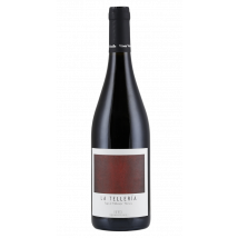 Vinos Valtuille La Telleria 2023 | Rotwein | Bierzo – Spanien | 1 x 0,75 Liter