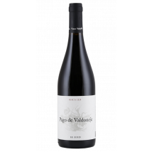 Vinos Valtuille Pago Valdoneje Mencia 2024 | Rotwein | Spanien | 1 x 0,75 Liter