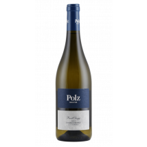 Walter Polz Ried Obegg Chardonnay 2022