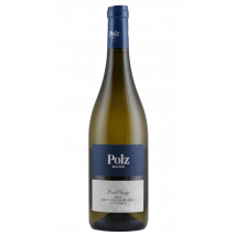 Walter Polz Ried Obegg Sauvignon Blanc 2022