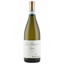 Zenato Lugana San Benedetto 2025